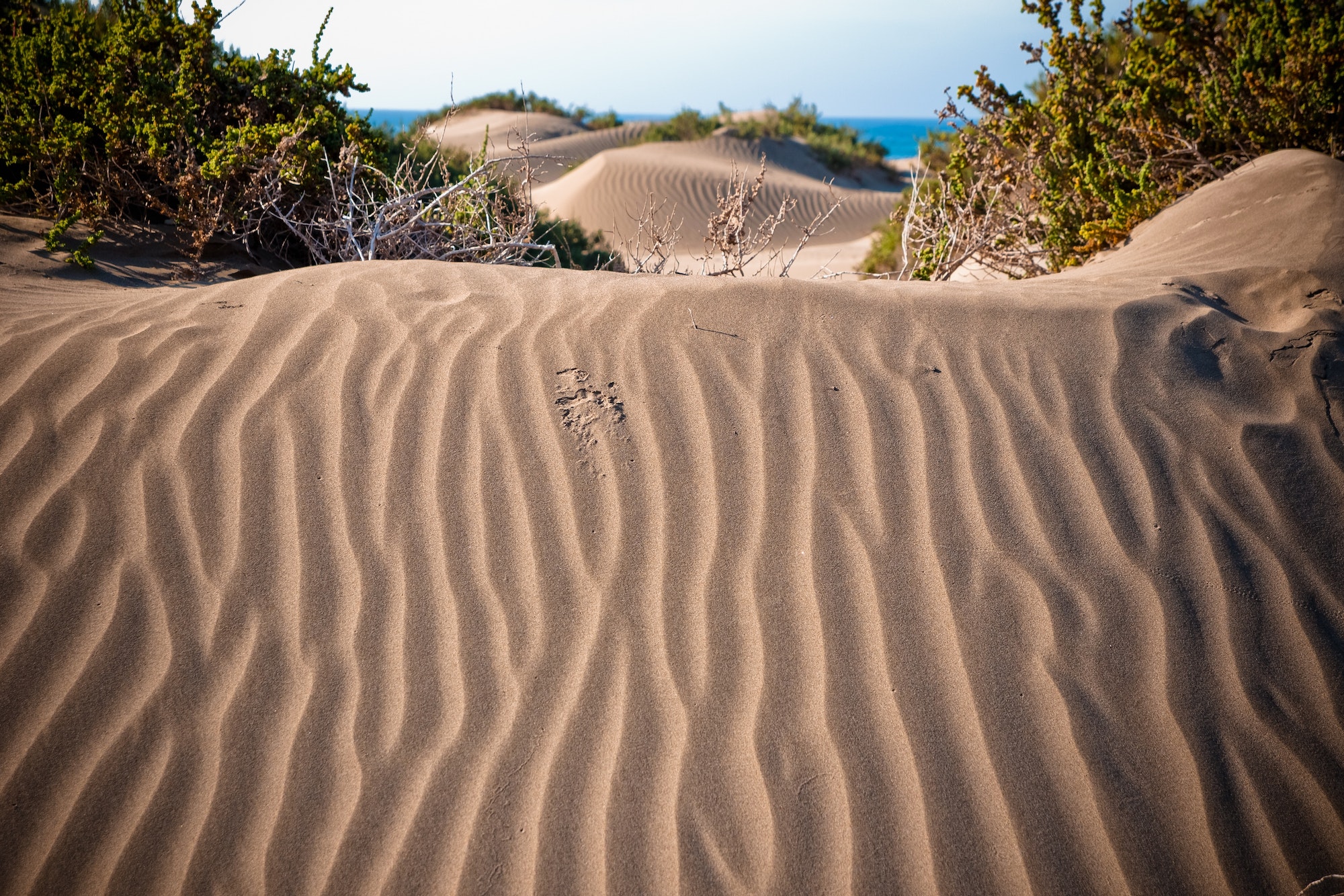 Dunas del desierto con ondasDesert dunes with waves