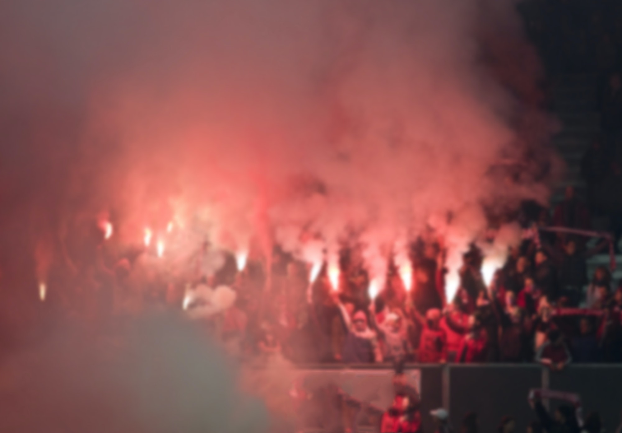 supporters and fans during football match