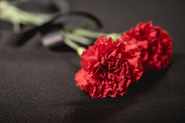 two red carnation flowers with ribbon on black background, funeral concept